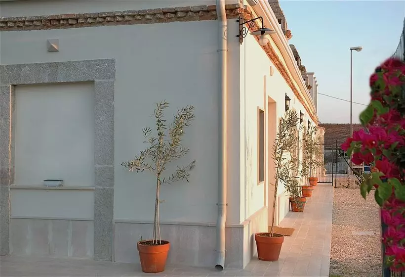 ホテル The Olive Inn