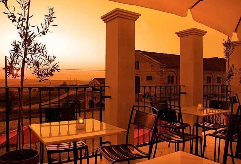 هتل The Olive Inn