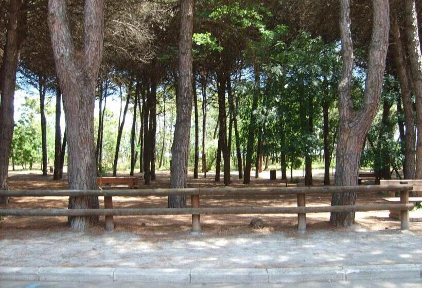 בית מלון כפרי Valentino