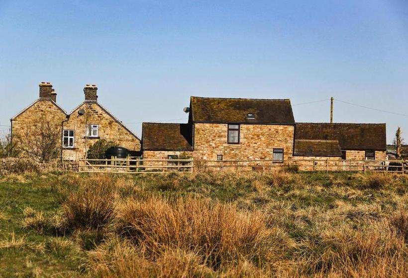 Moorland View Farm B&b