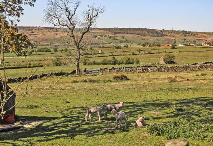 Moorland View Farm B&b
