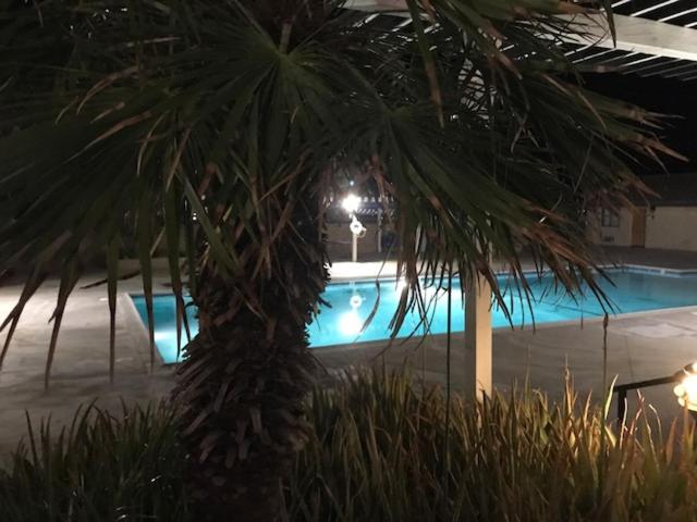 منتجع Desert Rain Spa