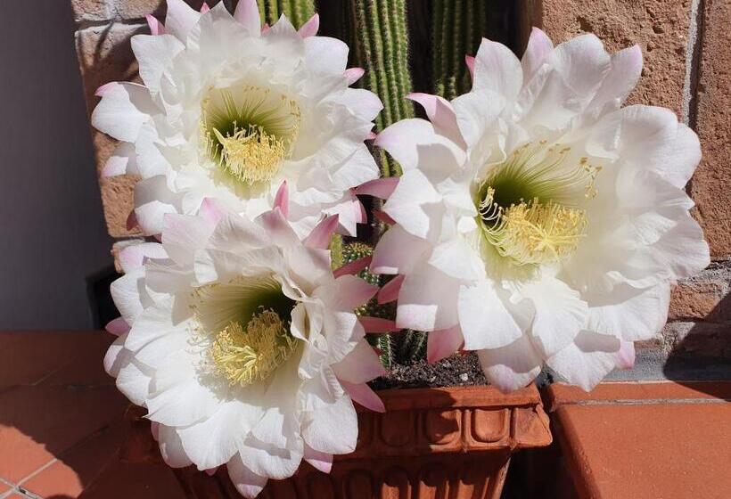 Bed and Breakfast Acquamarina