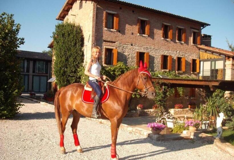 مبيت وإفطار Aiceltis