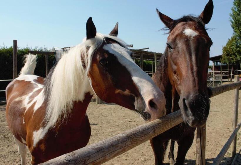 مبيت وإفطار Aiceltis