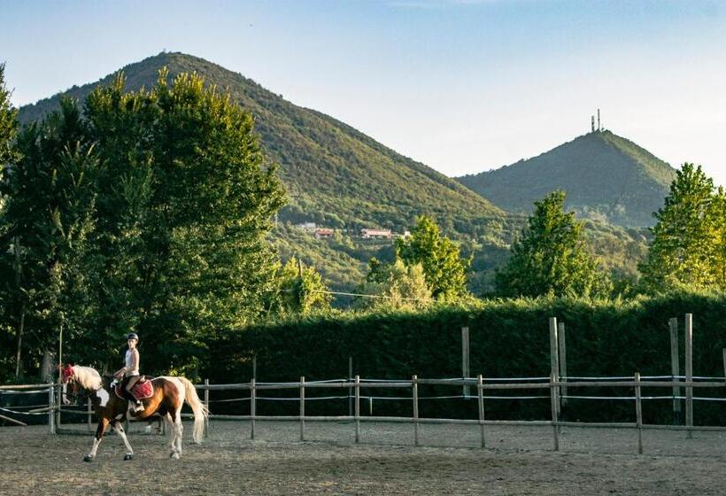 مبيت وإفطار Aiceltis