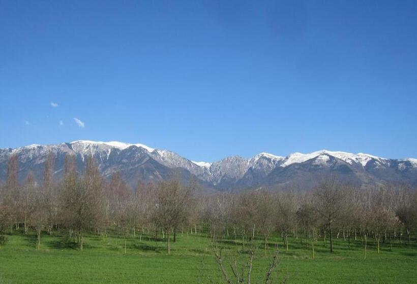 مبيت وإفطار Fara1911