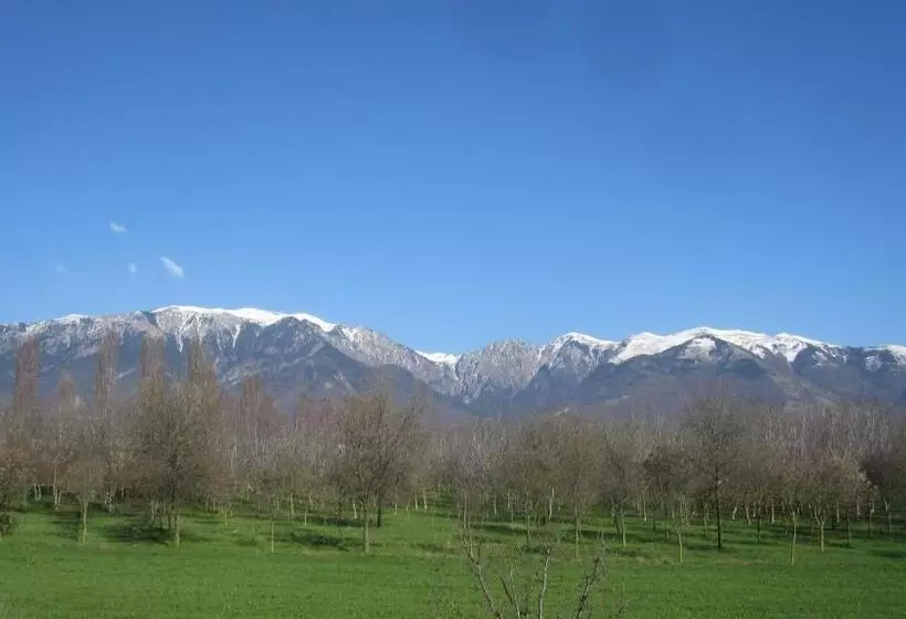 ベッドアンドブレックファースト Fara1911