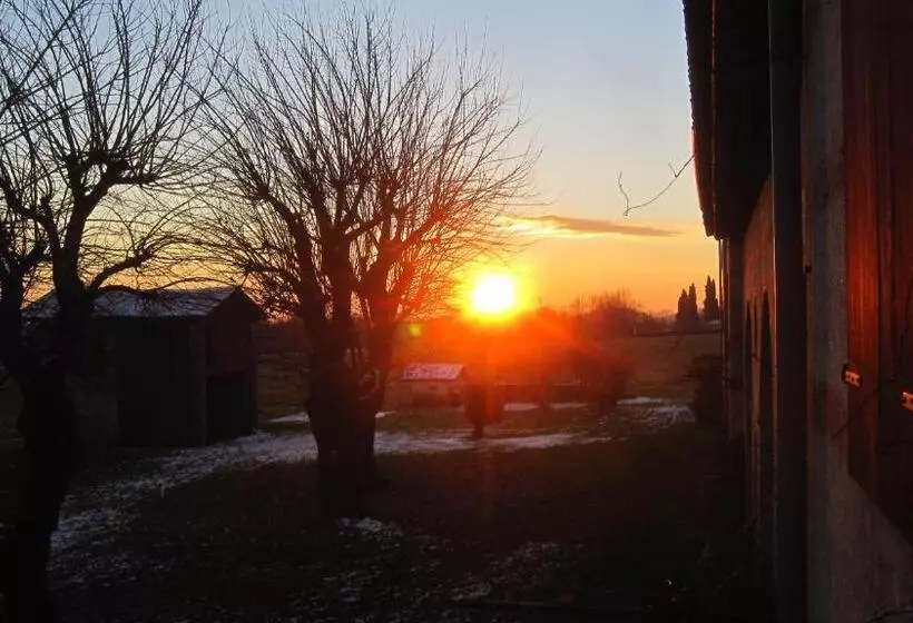 ベッドアンドブレックファースト Fara1911