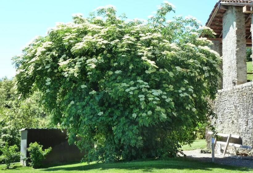 مبيت وإفطار Il Sambuco Innamorato