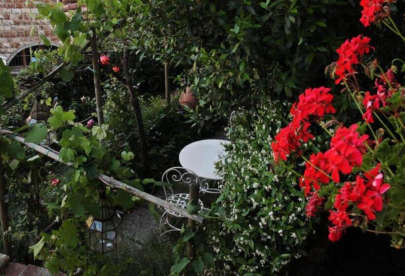 住宿加早餐 La Casa Nel Borgo