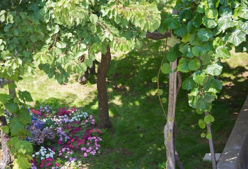 Bed and Breakfast Portico Del Paradiso