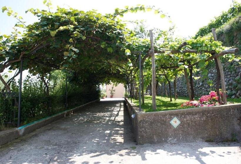 Bed and Breakfast Portico Del Paradiso