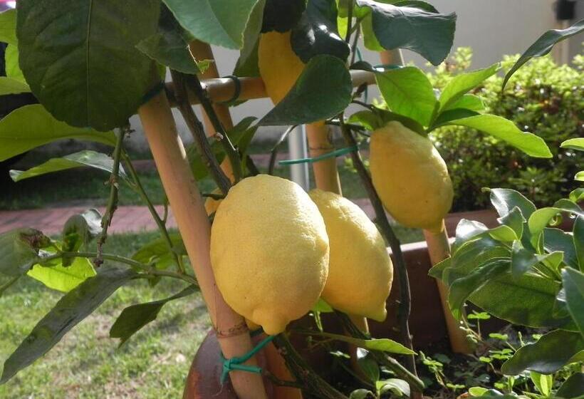 צימר Villa Il Fortino