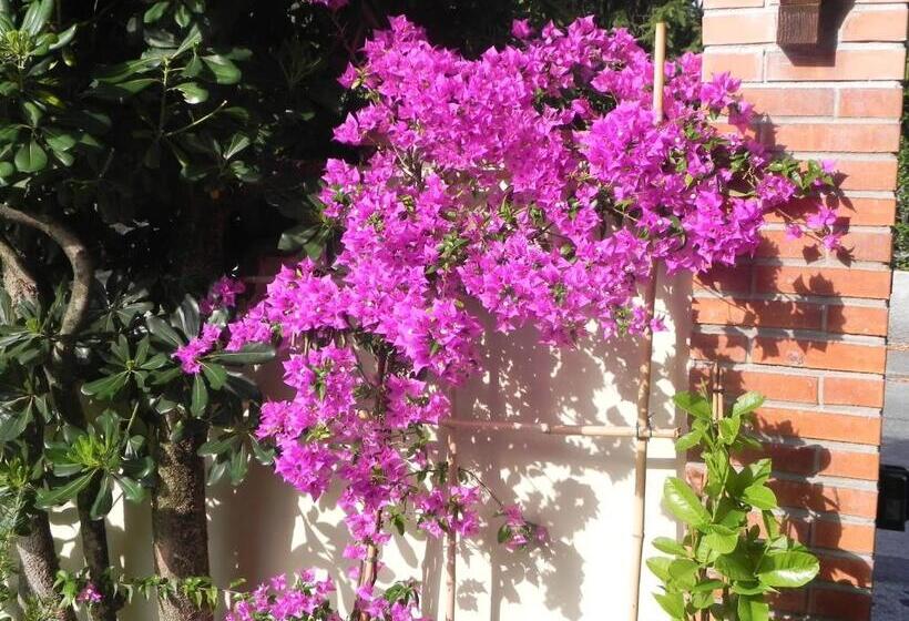 צימר Villa Il Fortino