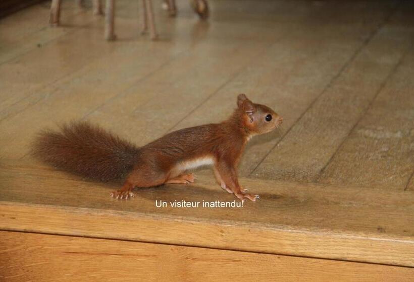 בית מלון כפרי Hôtel Auberge Du Combaïre