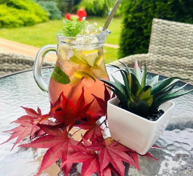 فندق Penzion Benedikti