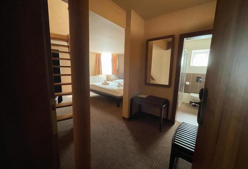 فندق Penzion Benedikti