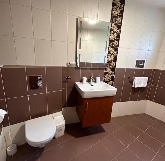 فندق Penzion Benedikti