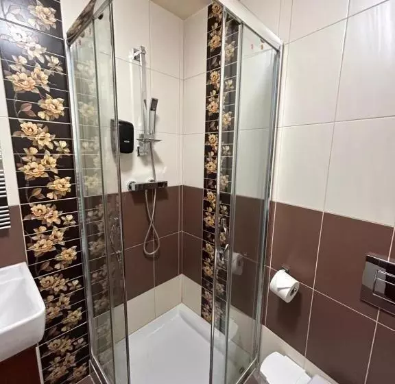 هتل Penzion Benedikti