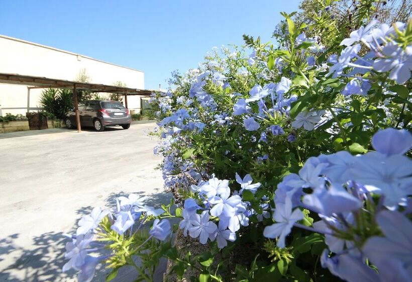 Villa B&b Antiche Macine Del Salento