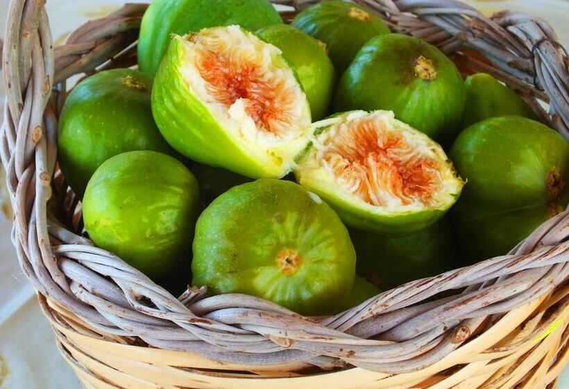 Villa B&b Antiche Macine Del Salento