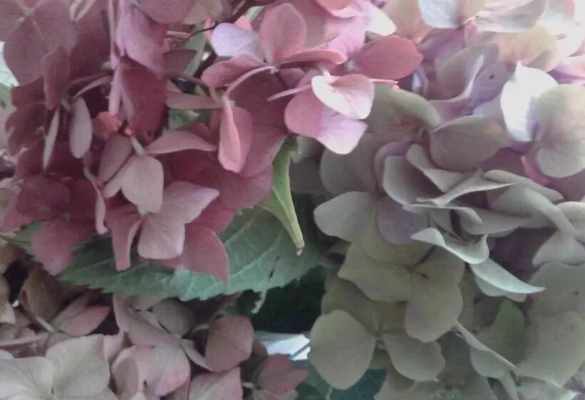 Balneum Boutique Hotel & B&b