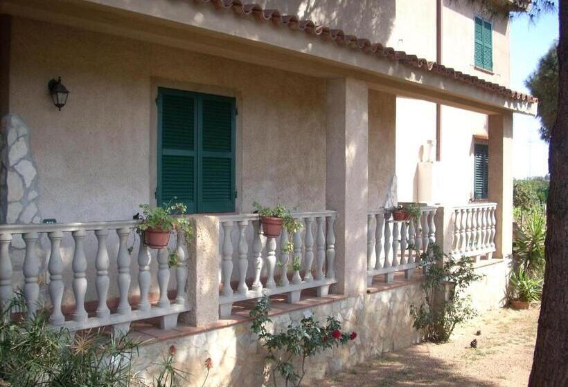 B&b Il Vigneto
