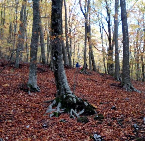 Bed & Breakfast Al Castagno