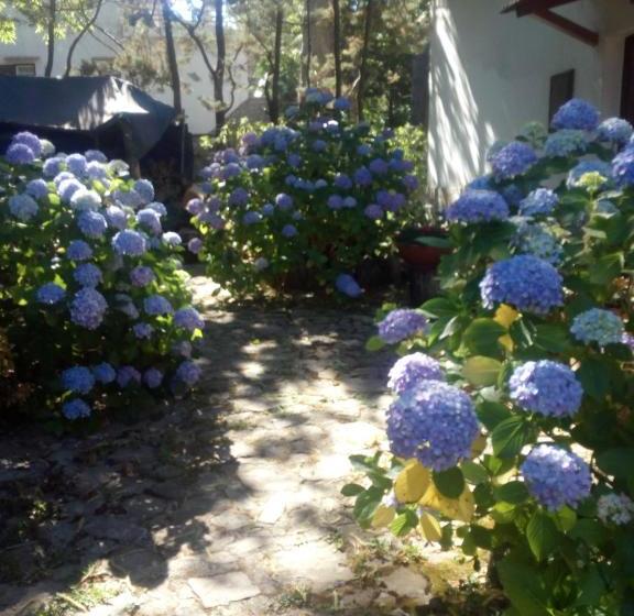 Bed & Breakfast Al Castagno