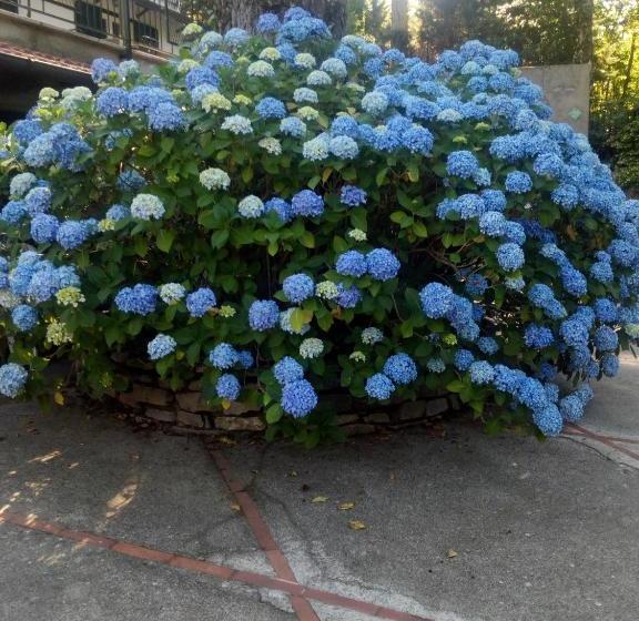 Bed & Breakfast Al Castagno