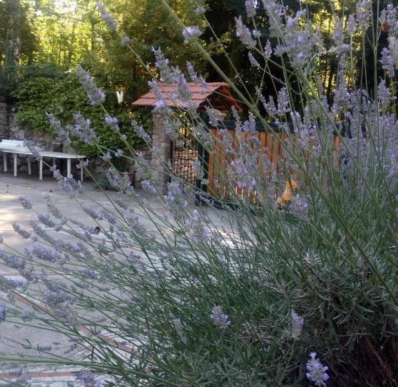 Bed & Breakfast Al Castagno