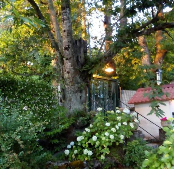 Bed & Breakfast Al Castagno