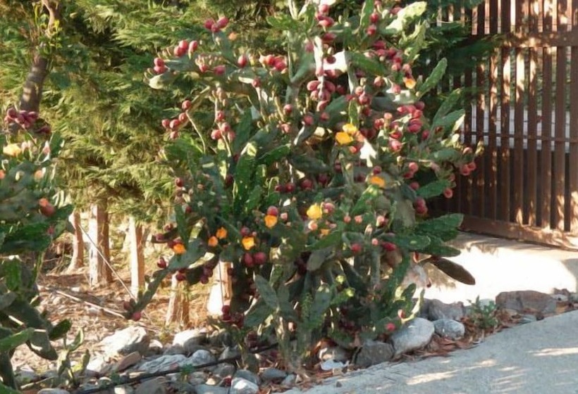 צימר Borgo Camicia In