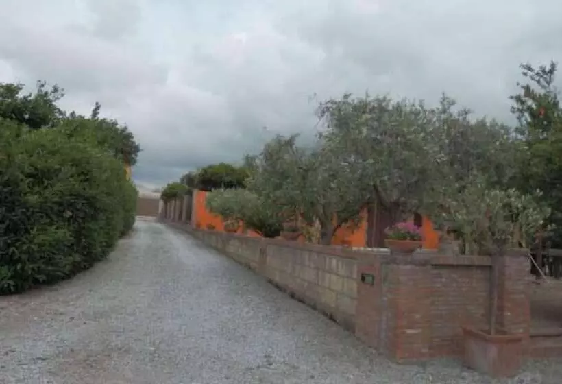 ベッドアンドブレックファースト Borgo Camicia In