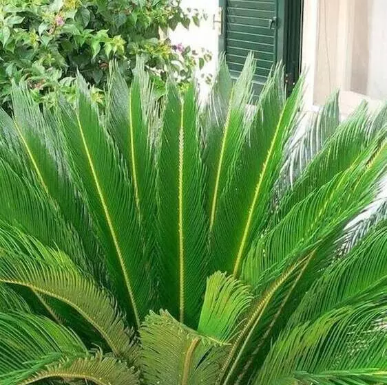 Aamiaismajoitus (B&B) Il Giardino Delle Sete