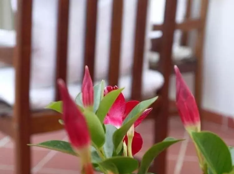 Aamiaismajoitus (B&B) Il Giardino Delle Sete