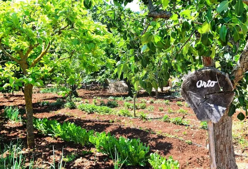 Aamiaismajoitus (B&B) Masseria Peppeturro