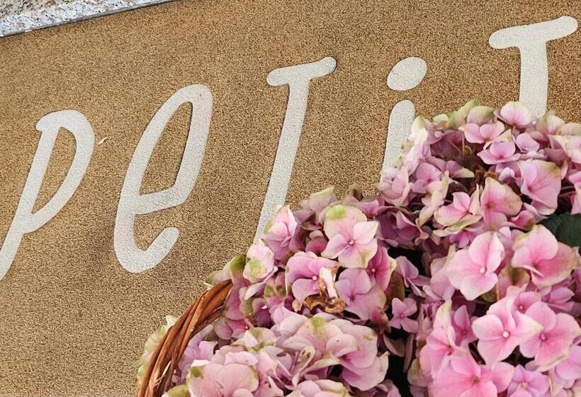 Отель Petit