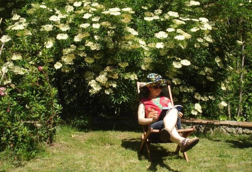 Il Cielo Bio   Il Più Piccolo B&b Del Chianti