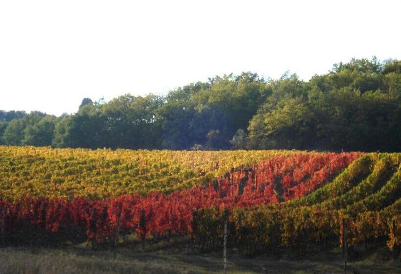 Il Cielo Bio   Il Più Piccolo B&b Del Chianti