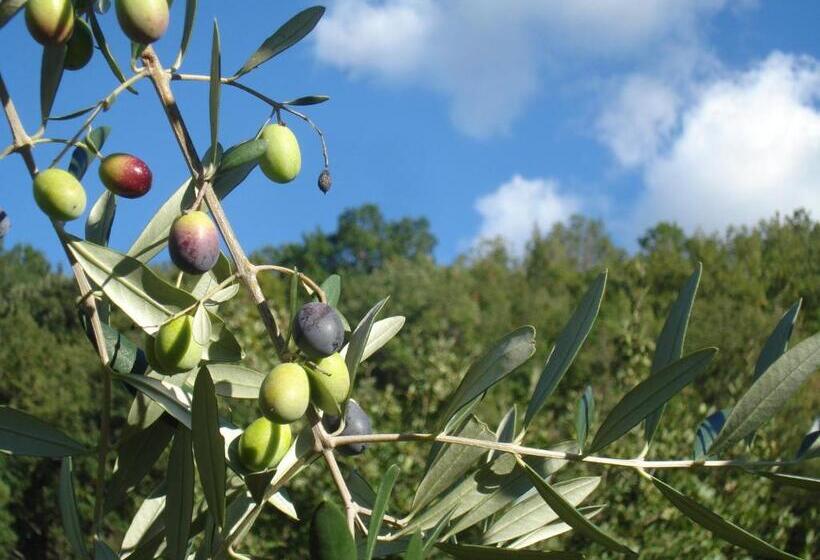 Il Cielo Bio   Il Più Piccolo B&b Del Chianti