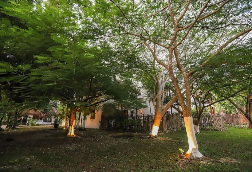 Mayan Secret Hotel Boutique