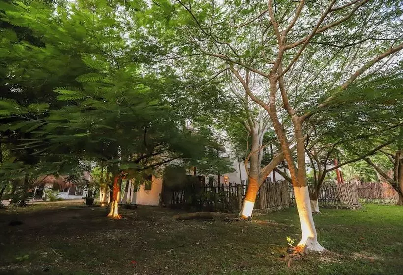 Mayan Secret Hotel Boutique