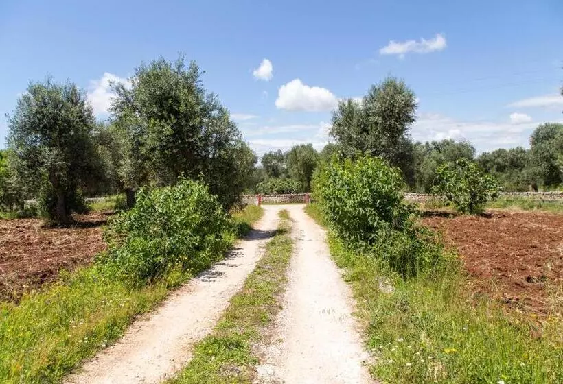 Physis B&b A Casa Di Clio