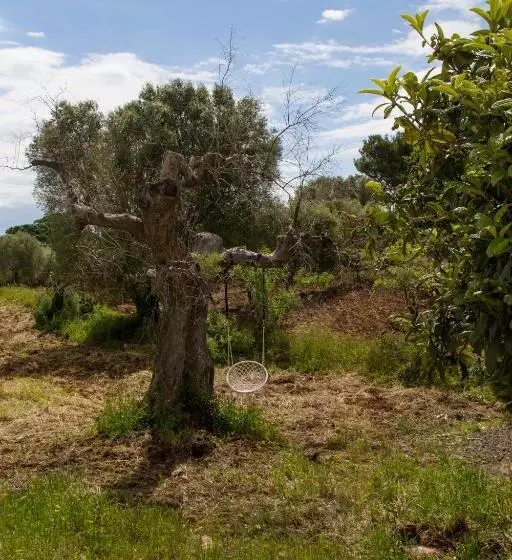 Physis B&b A Casa Di Clio