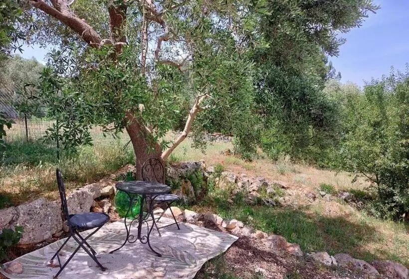 Physis B&b A Casa Di Clio