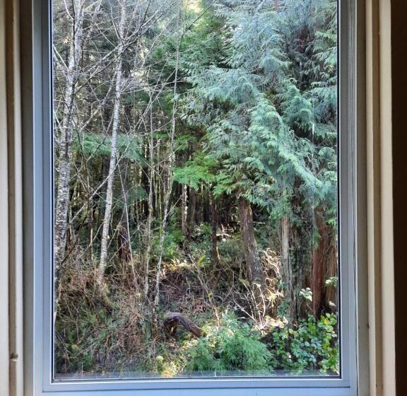 فندق صغير C&n Backpackers Ucluelet