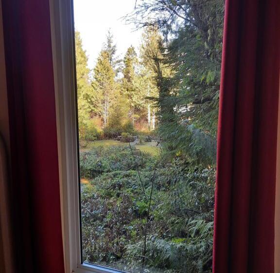 فندق صغير C&n Backpackers Ucluelet