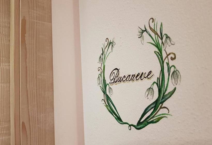 B&b Bucaneve